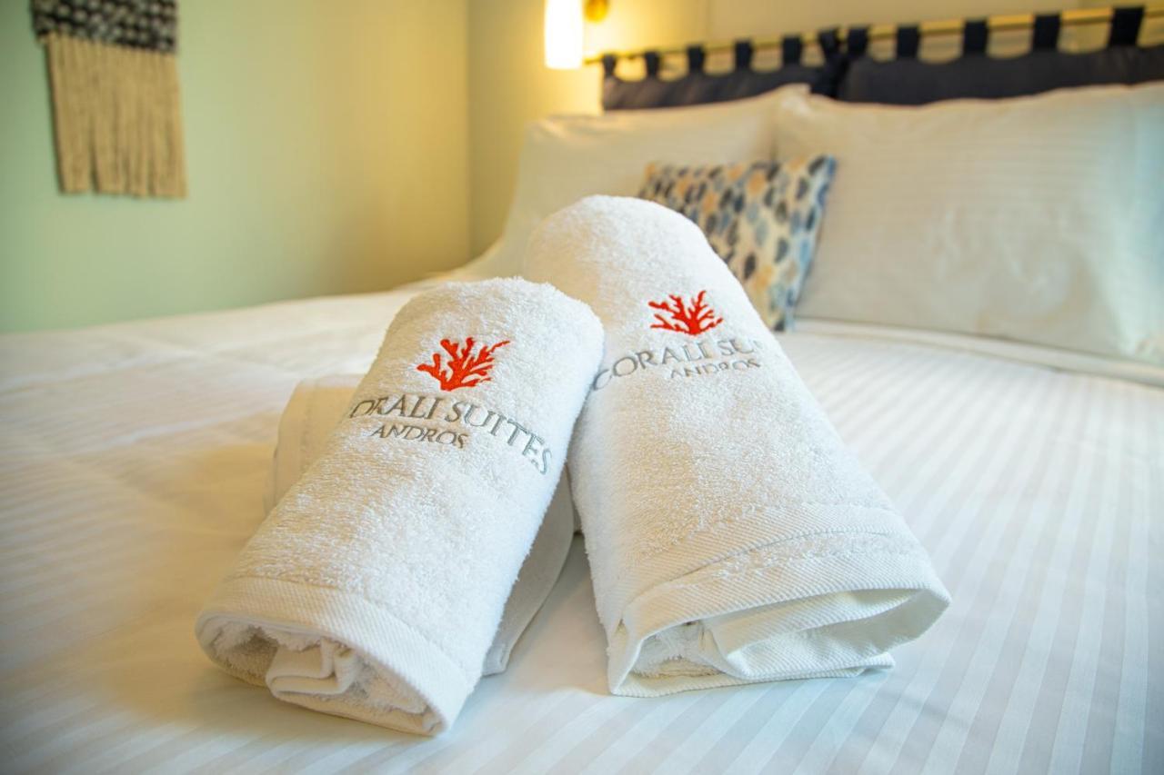 Corali Suites Andros Batsi  Luaran gambar